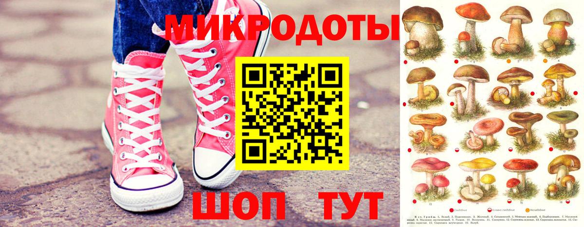 Псилоцибиновые грибы Cubensis Мелеуз
